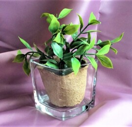 FB-06キューブ型Mサイズ(植物は無し) <br><span style="color: #ff0000;">サービス価格2600円 </span> (一面加工費込み)<br>70×70mm
H76mm(リビー製) 追加<br>でもう一面加工も可能です+500円。<br>観葉植物入れに あと小物入れにもお薦めです。好みの柄を入れてオリジナルに、持込みデザインも可能<br>
<center><a href="https://www.kobo-abe.com/order?product=FB-06" target="_blank"rel="noopener"><img border="0" src="https://www.kobo-abe.com/wp-content/uploads/2016/10/order-or200.png" width="200px" alt=""></a></center>
<br>
<br>