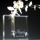 開店記念品<br>
CFB-11