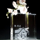 モデルハウス完成<br>
CFB-11