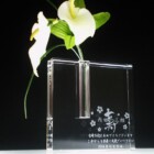 古希のお祝いに<br>
CFB-11