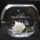 ハネムーン記念に<br>
FB-03b