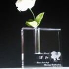 開店のお祝い<br>
CFB-11