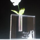 結婚の記念品に<br>
CFB-11