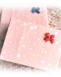 フォトフレーム<br>
小型額入り商品等