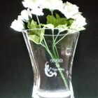 誕生日お祝い<br>
FB-01a